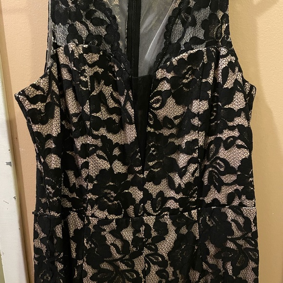 Black and Beige Lace Jumpsuit - Picture 1 of 2